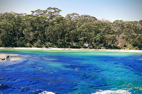 Jervis Bay Passage Tour - Find Attractions 1
