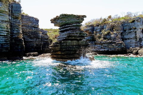 Jervis Bay Passage Tour - Find Attractions 15