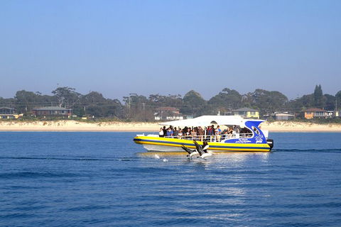 Jervis Bay Passage Tour - Find Attractions 16