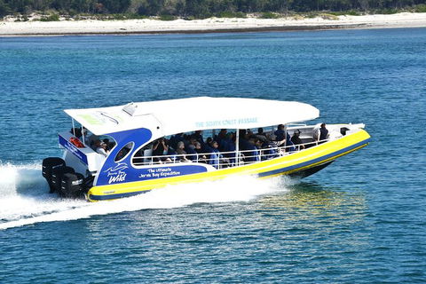 Jervis Bay Passage Tour - Find Attractions 11