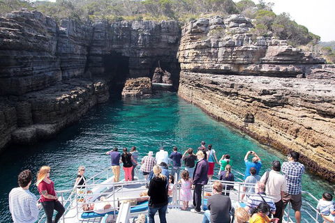 Jervis Bay Passage Tour - Find Attractions 3