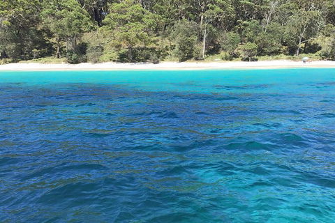 Jervis Bay Passage Tour - Find Attractions 5