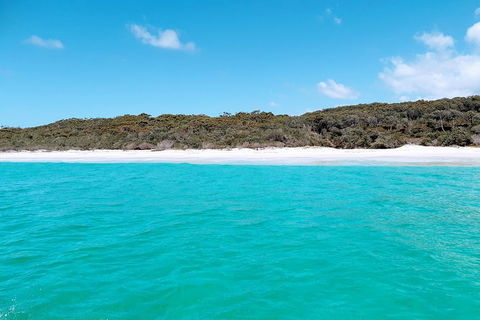 Jervis Bay Passage Tour - Find Attractions 10