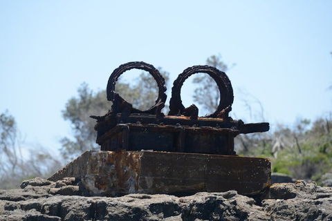 Jervis Bay Passage Tour - Find Attractions 4