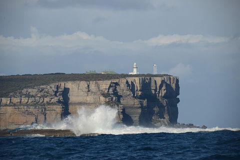 Jervis Bay Passage Tour - Find Attractions 8