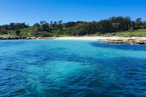 Jervis Bay Passage Tour - Find Attractions 2