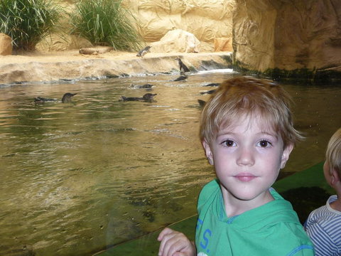 WILD LIFE Sydney Entrance Ticket - Find Attractions 5