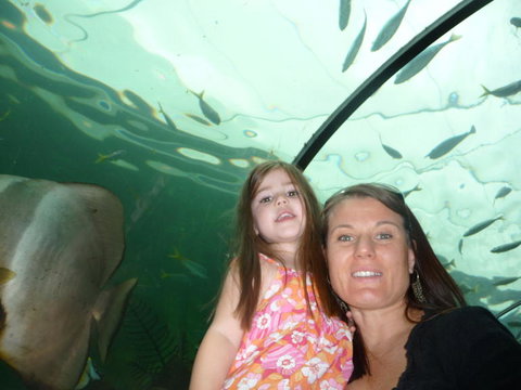 WILD LIFE Sydney Entrance Ticket - Find Attractions 4