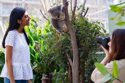 WILD LIFE Sydney Entrance Ticket - Find Attractions 22