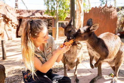 WILD LIFE Sydney Entrance Ticket - Find Attractions 18
