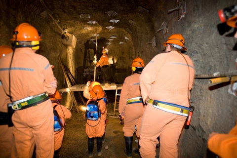 14 Day Dinos, Crocs And Gold - Find Attractions 3