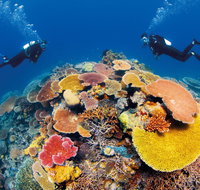 Agincourt Reef - Find Attractions