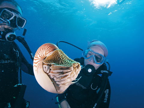 Agincourt Reef - Find Attractions 1