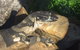 Armadale Reptile Centre - thumb 0
