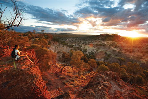 Baldy Top Lookout - Find Attractions 2