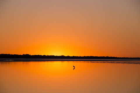 Birdwatching On The Fraser Coast - Find Attractions 1