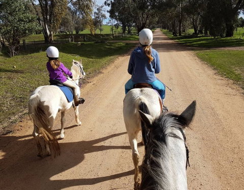 Bits And Boots Pony Rides - Find Attractions 0