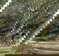 Bundanoon cycling route - Find Attractions