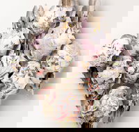 Canberra Museum and Gallery - Find Attractions