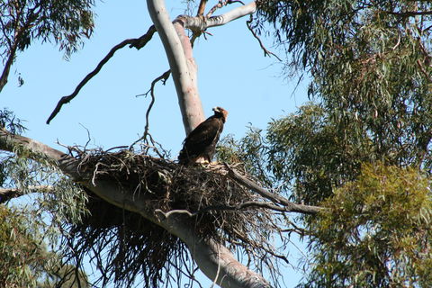 Castle Creek Reserve - Find Attractions 0