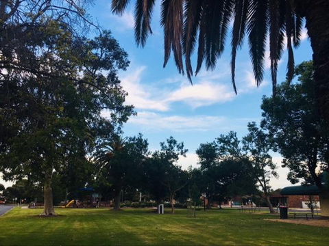 Cobram Mivo Park And Playground - Find Attractions 1