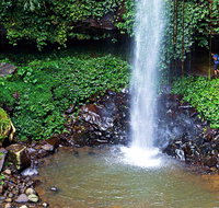 Crystal Shower Falls Walk - Find Attractions
