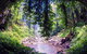 Crystal Shower Falls Walk - thumb 1