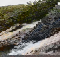 Davies Creek National Park and Dinden National Park - Find Attractions