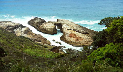 Diamond Head Loop Walk - Find Attractions 0