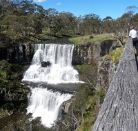 Ebor Falls - Find Attractions