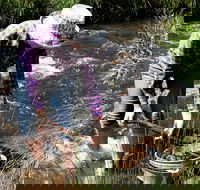 Fossicking - Find Attractions