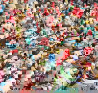 Gnomesville - Find Attractions