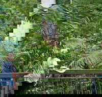 Grandis Picnic Area - Find Attractions