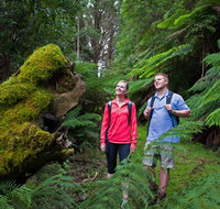 Grand Strzelecki Track - Find Attractions