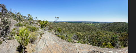 Hale Conservation Park - Find Attractions 0