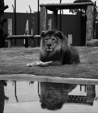 Hunter Valley Zoo