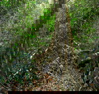 Iluka Nature Reserve - Find Attractions