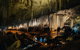 Jewel Cave - thumb 2
