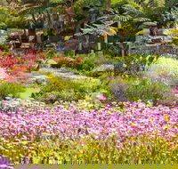 Jurassic Garden AR Experience - Find Attractions