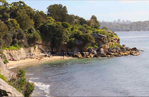 Lady Bay Beach - Find Attractions 0