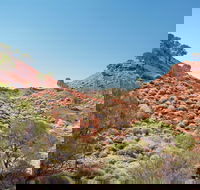 Lark Quarry Conservation Park - Find Attractions
