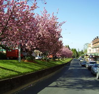 Leura - Find Attractions