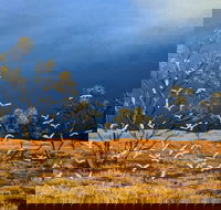 Lyn Barnes Gallery - Find Attractions