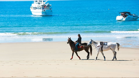 Mackay Harbour Beach - Find Attractions 0