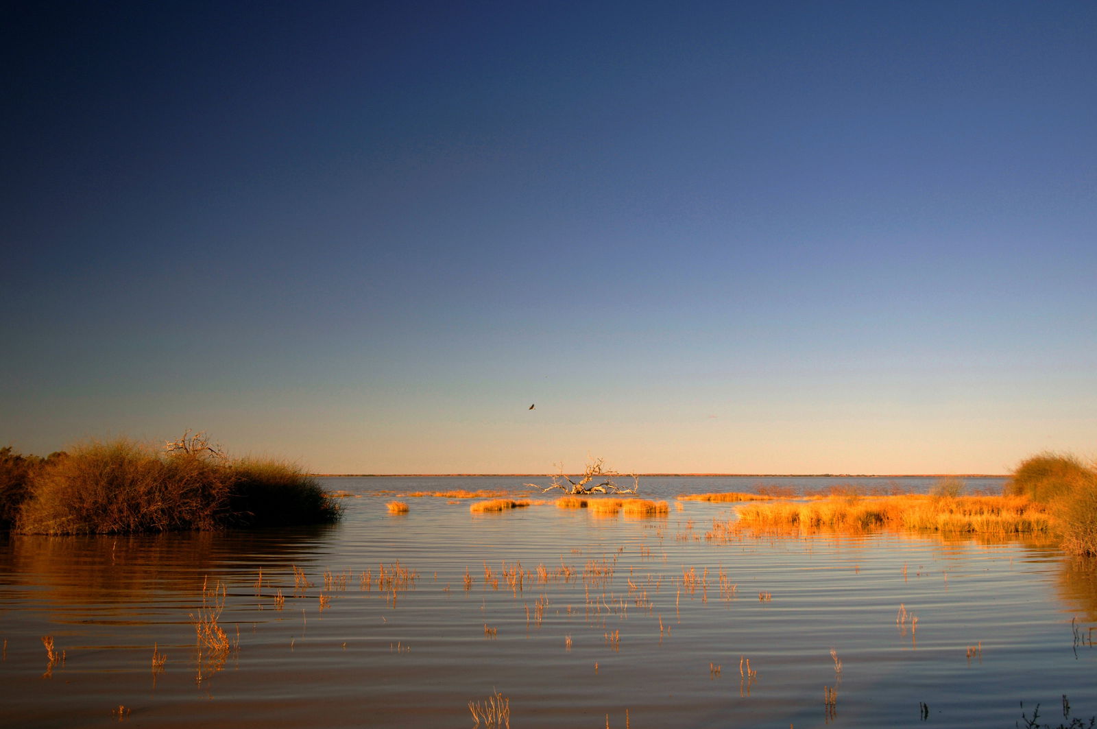 Innamincka SA Find Attractions