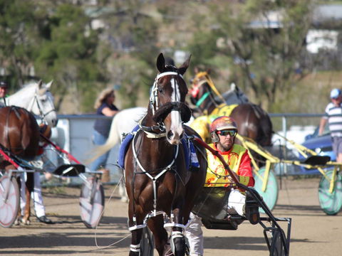 Marburg Pacing Association - Find Attractions 1
