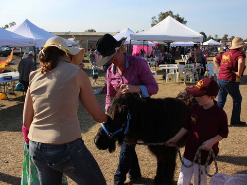 Marburg Pacing Association - Find Attractions 2