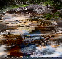 Mothar Mountain Rockpools - Find Attractions
