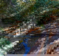 Ms Kellys Walking Track - Find Attractions