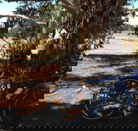 Murchison Rail Trail - Find Attractions